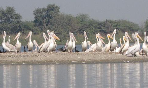 Keetham Lake Agra Taxi