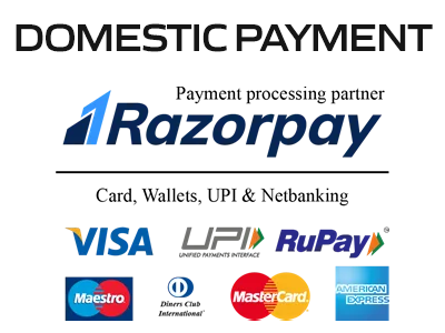 domestic payment