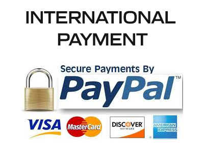 international payment